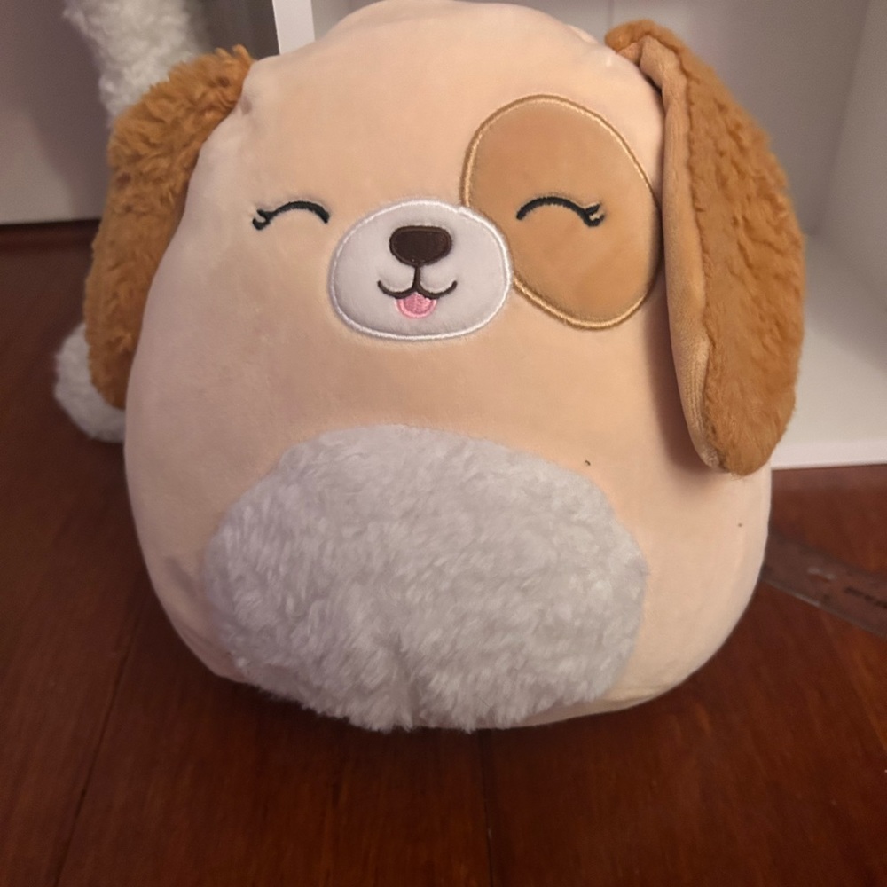 Harrison dog squish mallow’s